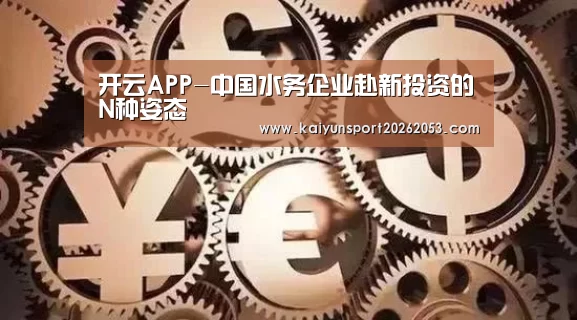 开云APP-中国水务企业赴新投资的N种姿态(图2) 开云体育