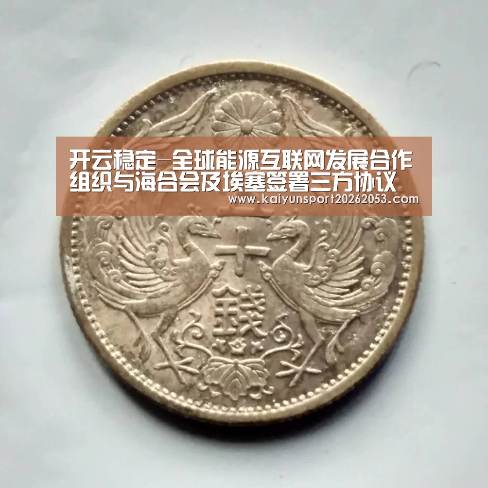 开云稳定-全球能源互联网发展合作组织与海合会及埃塞签署三方协议(图2) 开云体育