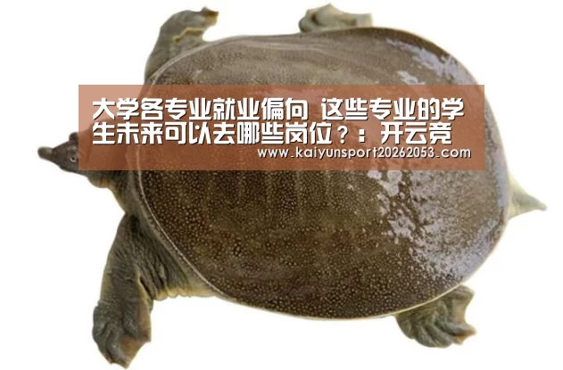 大学各专业就业偏向 这些专业的学生未来可以去哪些岗位?:开云竞猜(图2) 开云稳定