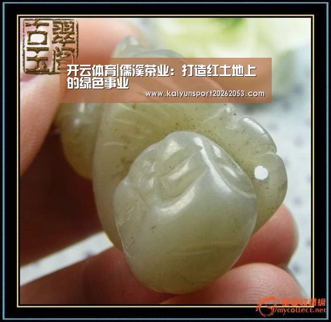 开云体育|儒溪茶业:打造红土地上的绿色事业(图1) 开云竞猜