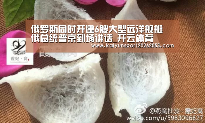 俄罗斯同时开建6艘大型远洋舰艇 俄总统普京到场讲话_开云体育(图1) 开云竞猜
