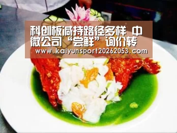 科创板减持路径多样 中微公司“尝鲜”询价转让【开云APP】(图3) 开云稳定