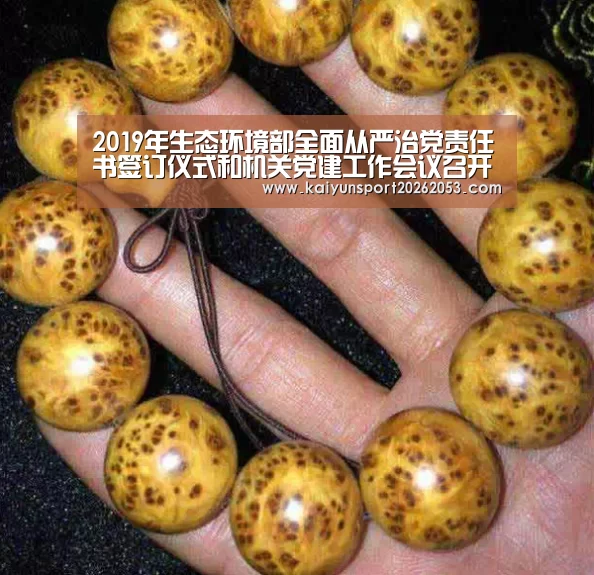 开云体育
