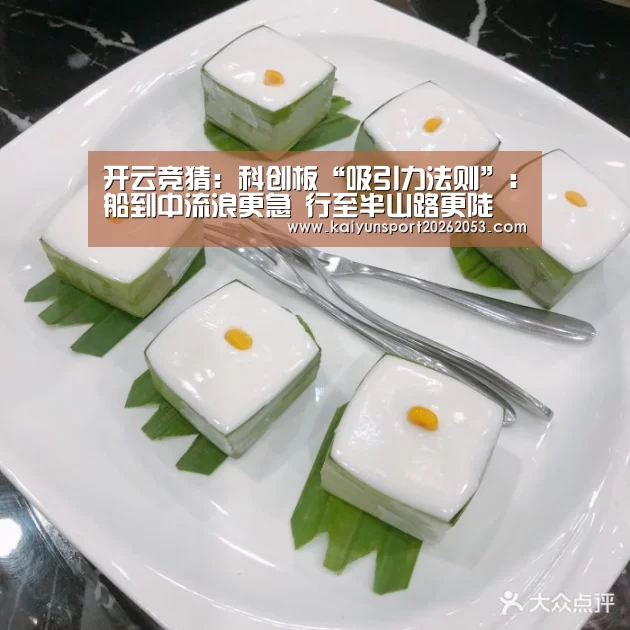 开云竞猜:科创板“吸引力法则”:船到中流浪更急 行至半山路更陡(图1) 开云稳定
