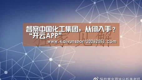 督察中国化工集团,从何入手?“开云APP”(图1) 开云APP