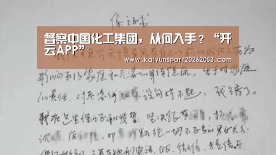 督察中国化工集团,从何入手?“开云APP”(图3) 开云竞猜