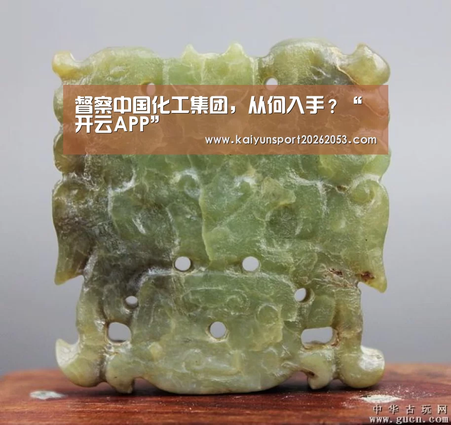 督察中国化工集团,从何入手?“开云APP”(图4) 开云APP