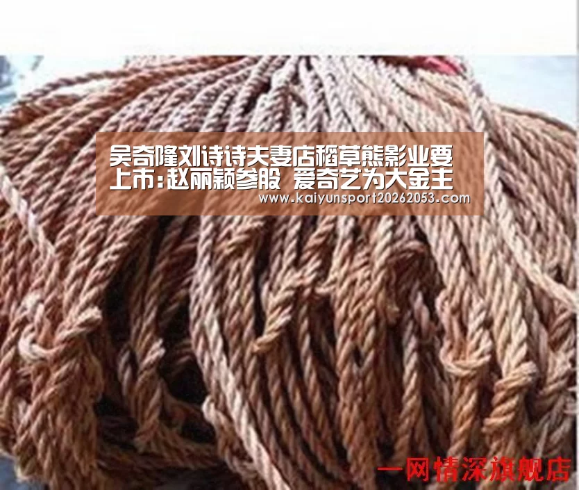 吴奇隆刘诗诗夫妻店稻草熊影业要上市:赵丽颖参股 爱奇艺为大金主【开云体育】(图3) 开云稳定