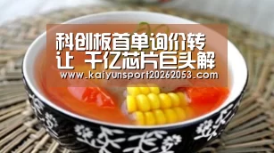 科创板首单询价转让 千亿芯片巨头解禁花落中信和中金:开云APP(图1) 开云APP
