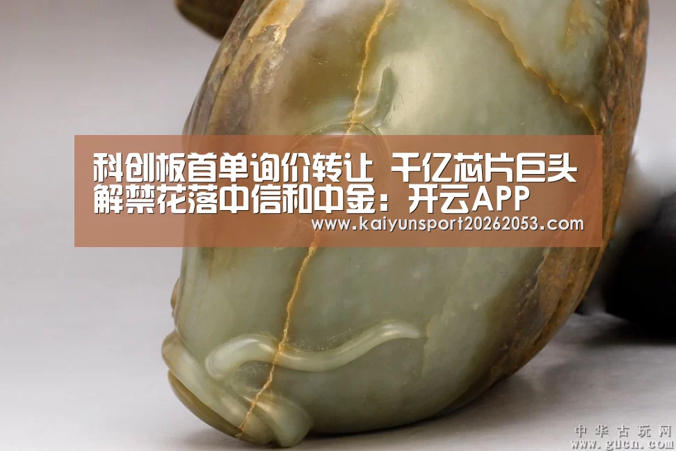 科创板首单询价转让 千亿芯片巨头解禁花落中信和中金:开云APP(图3) 开云竞猜