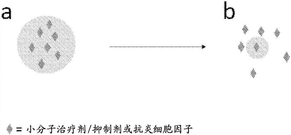 开云体育