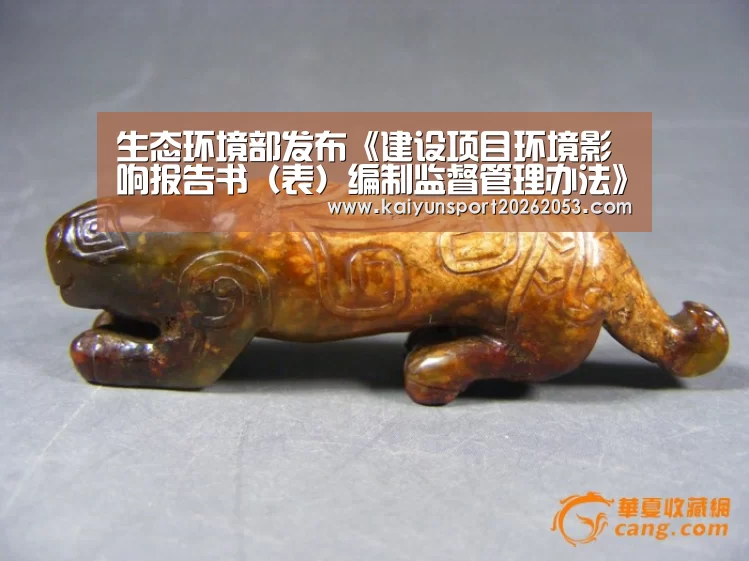 开云竞猜