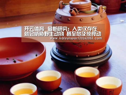 开云APP