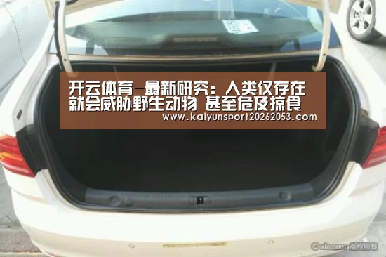 开云体育